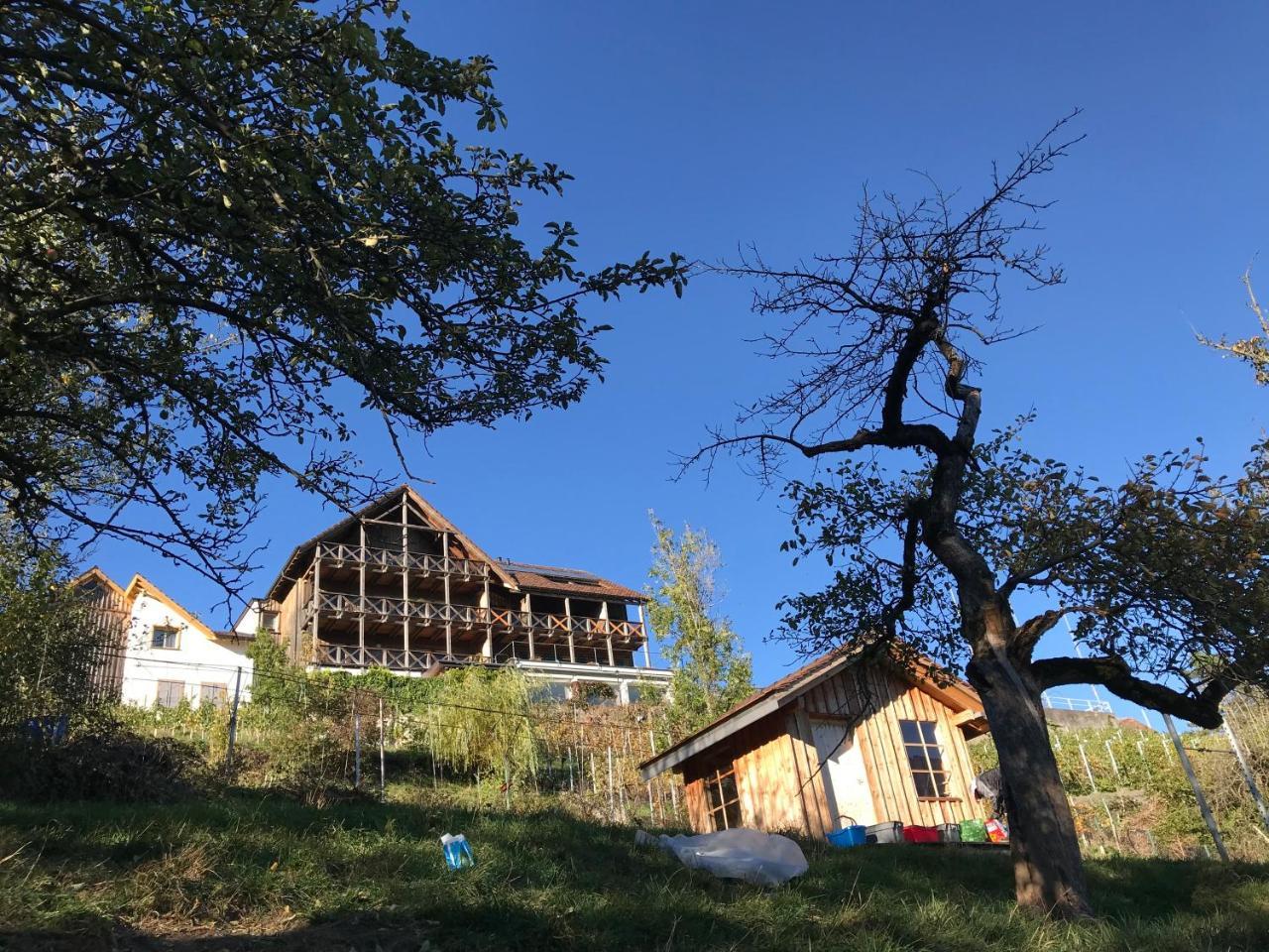 לינה וארוחת בוקר Obersaxen Atelier 67 מראה חיצוני תמונה
